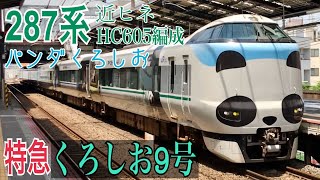 【パンダくろしお】287系HC605編成 新今宮駅通過  ～くろしお9号 白浜行き～