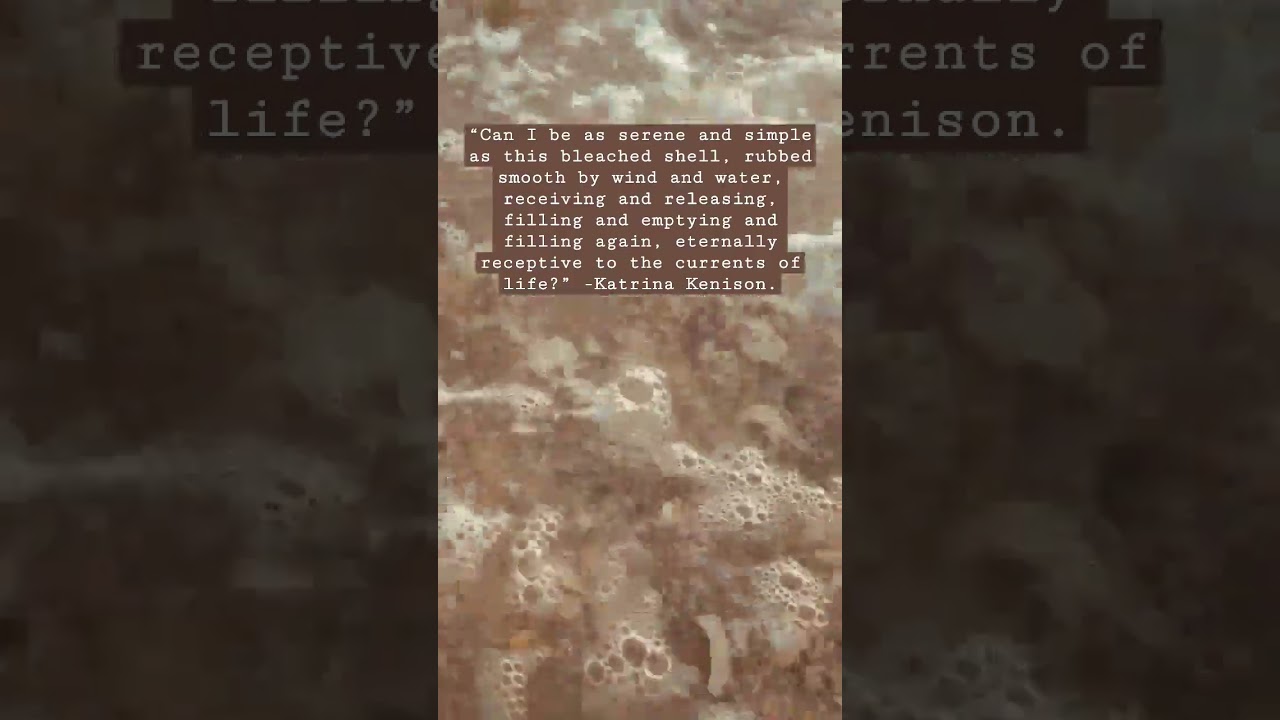 Soothing waves washing over seashells🌊🐚. 