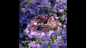 #حالات_واتس #لايك #اكسبلور #دازاي_فاطمة #قرآن #سورة_الإنسان #محمد_اللحيدان #استغفر_الله #اجر_لي_ولك