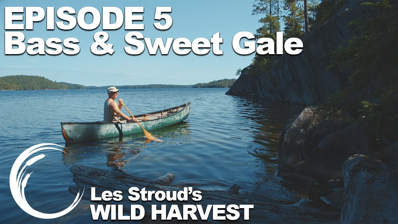 Download Survivorman | Les Stroud's Wild Harvest | Season 1 | Episode 5 | Bass & Sweet Gale