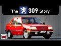 The Peugeot 309 Story