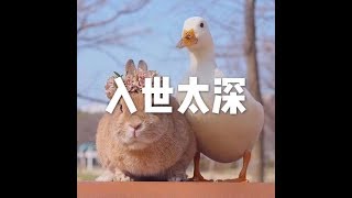 201808 入世太深50624