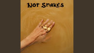 Not Snakes (feat. Mvlik)