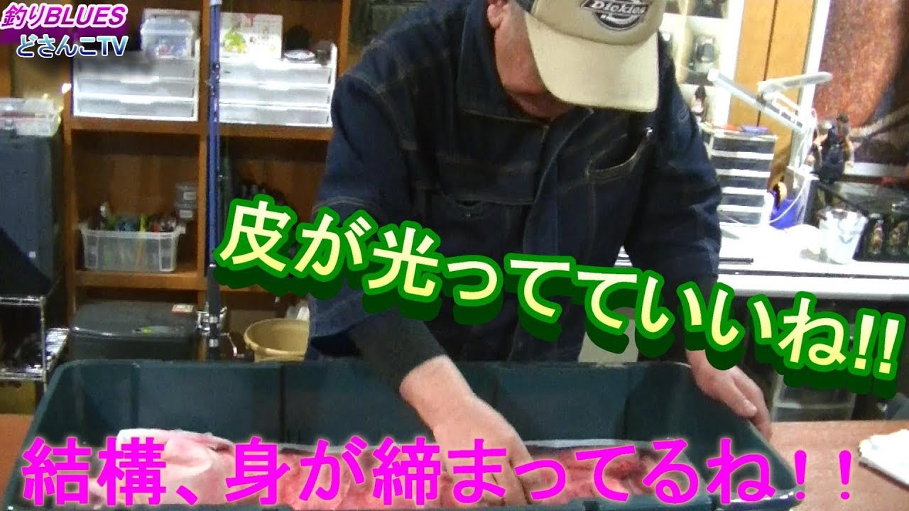 先日爆釣したウグイで 秋サケ用の餌作り 釣りblues Youtube