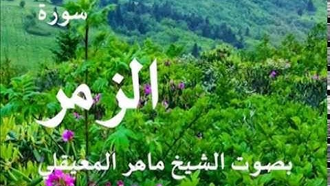 سورة الزمر بصوت الشيخ / ماهر المعيقلي 39