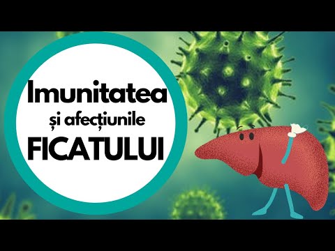 Video: Testele Funcției Hepatice: Scop, Procedură și Risc