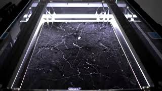 Cloud chamber: Radioactive particles in 4K 60FPS