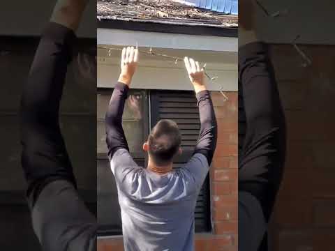 CHRISTMAS LIGHTS DECORATIONS IDEAS OUTDOOR Shorts Shortsfeed