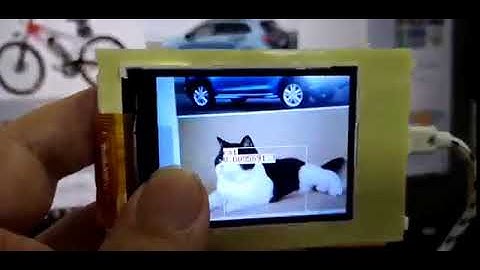 MaixPy run 20 classes based on tiny yolov2  #Maixduino #AIoT #RISCV