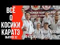 Выпуск 52. Всё о Косики каратэ. 33-й Кубок России. Часть 2.