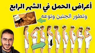 أعراض الحمل في الشهر الرابع ( متاعب الحمل وتطور الجنين والتأكد من نوعه)