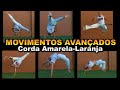 Movimentos e Golpes Avançados da capoeira (Ataques / Esquivas /contra ataques) corda Amarela-Laranja