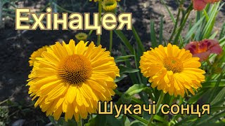 :  -   . # # 