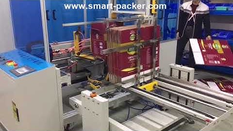 Automatic vertical carton box case erecting forming bottom sealing machine with protective fence
