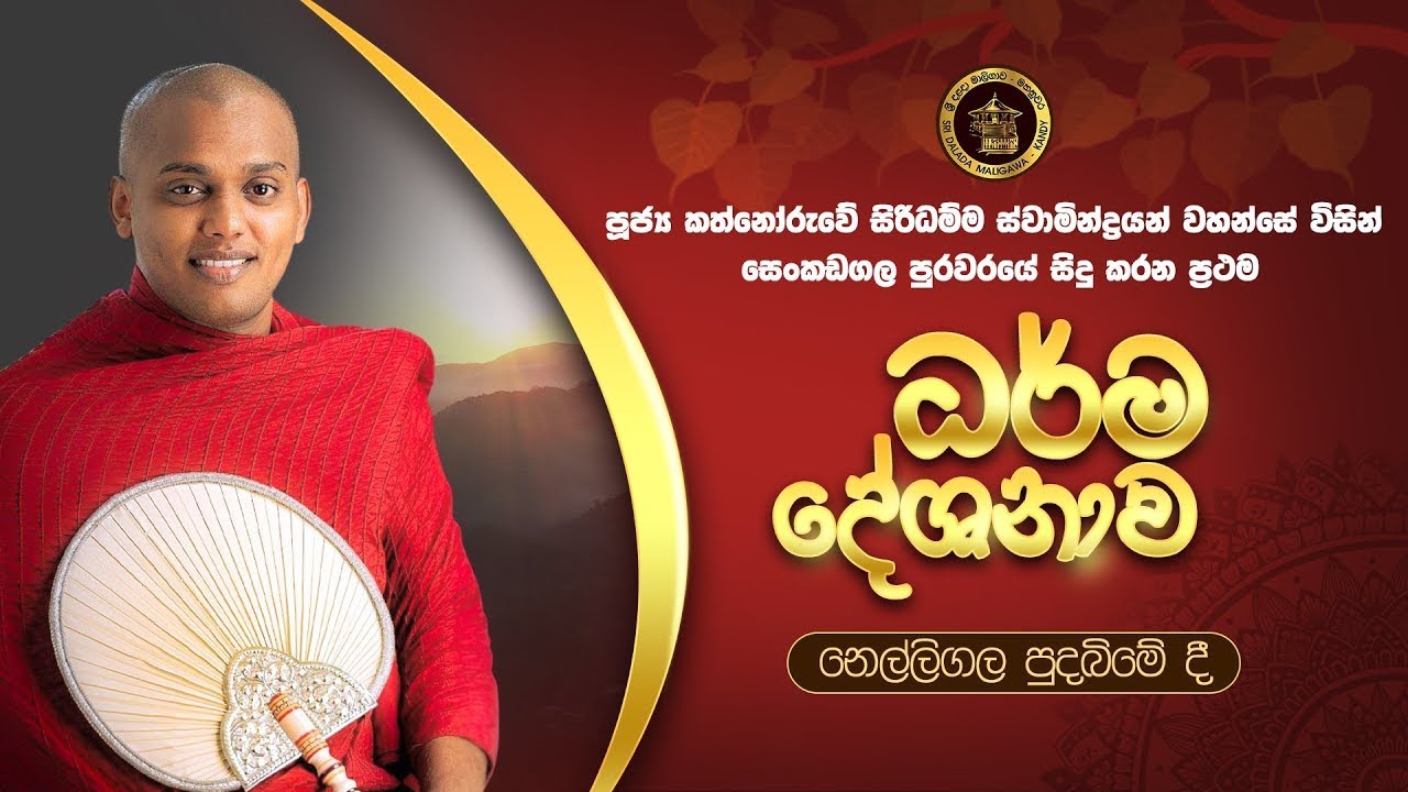 පූජ්‍ය කත්නොරුව සිරිධම්ම හිමිගේ විශේෂ ධර්ම දේශනය | නෙල්ලිගල පුදබිමේ සිට | LIVE | Part 2