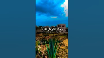 تلاوة خاشعة بصوت يريح القلب #تلاوة #اكسبلور #aslam #duet #trend #المصحف #قران_كريم #راحة_نفسية
