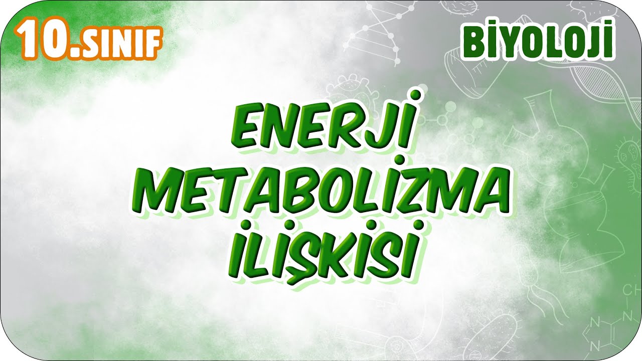 Enerji Metabolizma İlişkisi | 10. Sınıf Biyoloji #2026