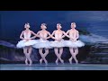 Swan Lake - Tchaikovsky (480p)