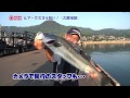 【釣り】シーバス釣りルアー釣り | 伊万里湾