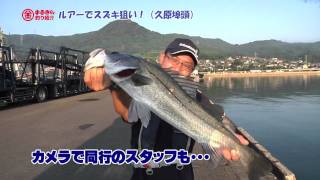 【釣り】シーバス釣りルアー釣り | 伊万里湾