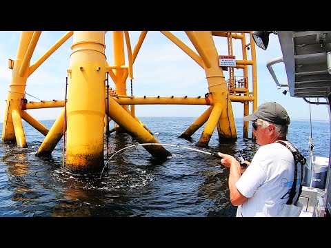 Fishing at Nation's First Offshore Wind Farm - Lots of FISH!