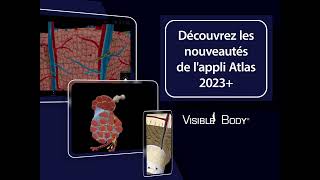 Atlas d'anatomie humaine 2023＋| Une référence 3D complète ! screenshot 3