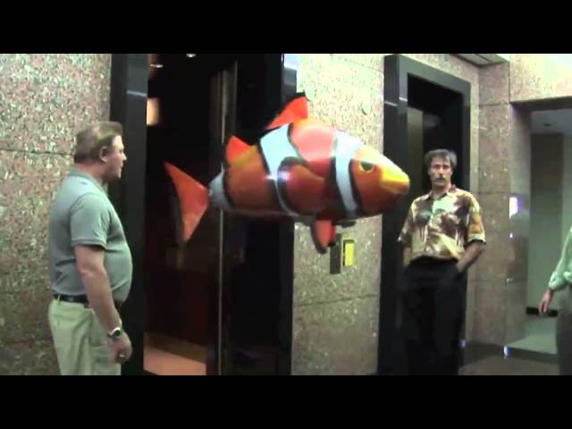 Air Swimmers - Amazing RC Flying Shark and Clownfish! 