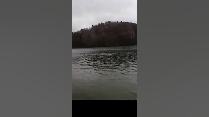 Eisbaden Eifel Freilinger See #shorts #wimhof #eisbaden