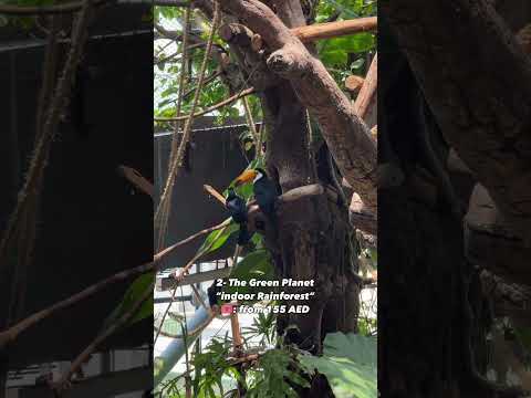 قائمة ب 5 أماكن داخلية عجيبة ما تتفوت في دبي حق الصيف   5