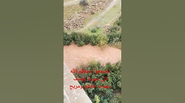 استمعوا رحمكم الله الى سورة يوسف بصوت خاشع ومريح