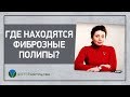 Где находятся фиброзные полипы?