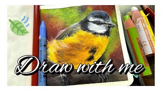 Draw with me ✏️ Eurasian blue tit 🐦 watercolours & crayons 🍂 by Gabriella Rita Art 372 views 7 months ago 9 minutes, 18 seconds