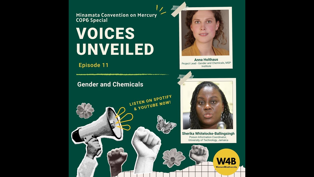 Voices Unveiled EP 11: Gender and Chemicals