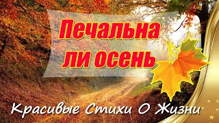 Красивые Стихи О Жизни 🍁 Печальна ли осень 🎤 Читает автор