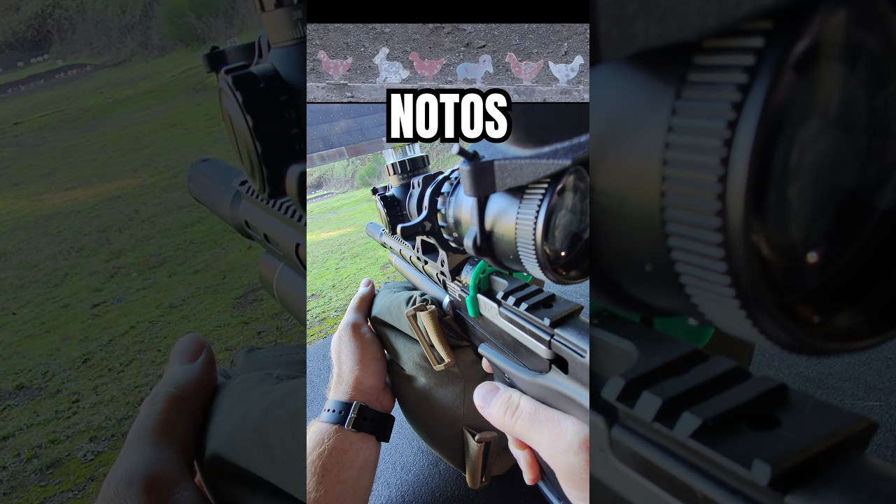 Testing Umarex NOTOS with H&N Pellets