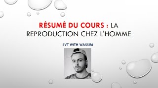 séance 3:résumé du cours la reproduction chez l'homme(37 minutes)