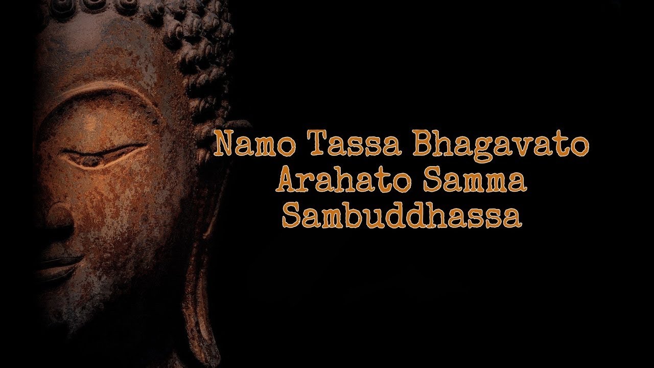 Namo Tassa Bhagavato Arahato Samma Sambuddhassa #samyaksaṃbodhi #buddha #dhamma #sangha