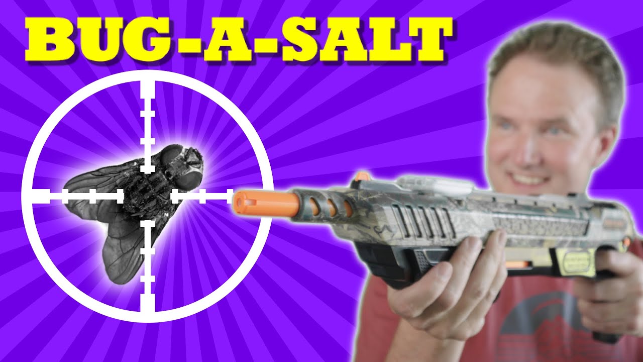 NO MORE FLIES! | Bug-A-Salt 3.0 to the rescue! - YouTube