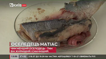 Що ховається під популярною назвою оселедця «Матіас»? #ЯкіснеЖиття