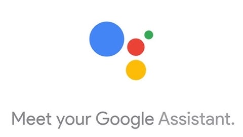 Google Voice access - setup and performance review.