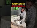 世界が大絶賛した石の彫刻がすごすぎるんだけど