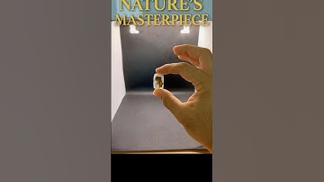 Natures Masterpiece