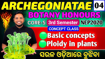 Ploidy in plants| Botany honours core 5 Syllabus|botany hons core5|bsc 3rd semester botany//#bsc