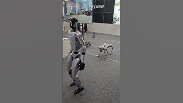 Quadruped robot jumping and walking at Robotworld in South Korea, Oct 2024 @unitreerobotics
