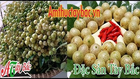 Hướng Dẫn Cách Ngâm Quả Mắc Mật Tươi