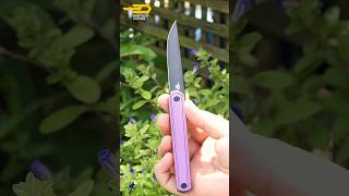 Is This 2.1oz Titanium Knife the Perfect CEO EDC? Bestech INK!  #edc #edcknife #blade #knifelove