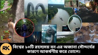 বিশ্বের ১০টি সবচেয়ে রহস্যময় বন যা দেখে হতবাক হবেন। Mysterious Forest | RK Media Official |