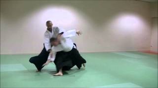 Techniques 1er kyu - #1