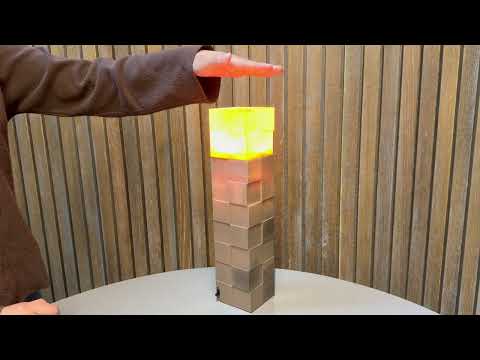 A Multimodal Interactive Hardware Prototype for Emotional Companionship