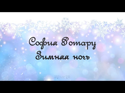 София Ротару  - Зимняя ночь | Слова песни